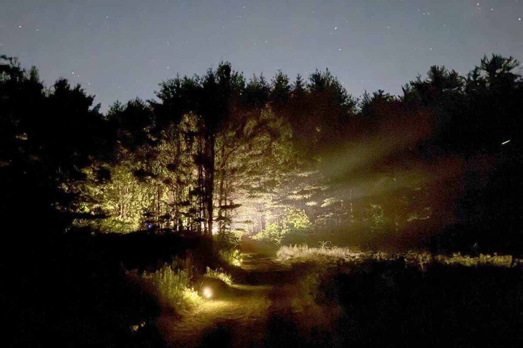 Black Rabbit Farm at night with lights coming through trees